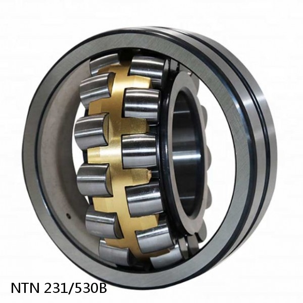 231/530B NTN Spherical Roller Bearings