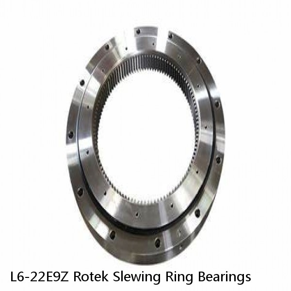 L6-22E9Z Rotek Slewing Ring Bearings