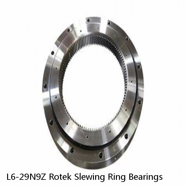 L6-29N9Z Rotek Slewing Ring Bearings