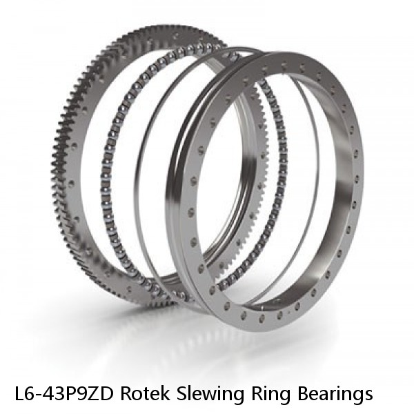 L6-43P9ZD Rotek Slewing Ring Bearings