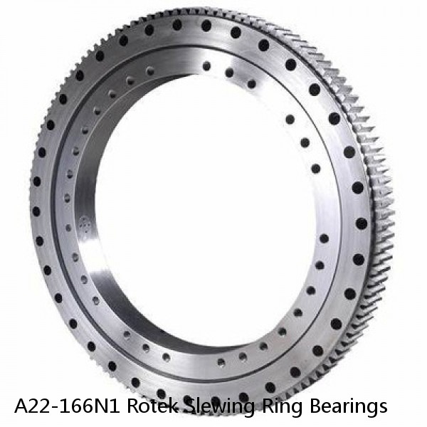 A22-166N1 Rotek Slewing Ring Bearings