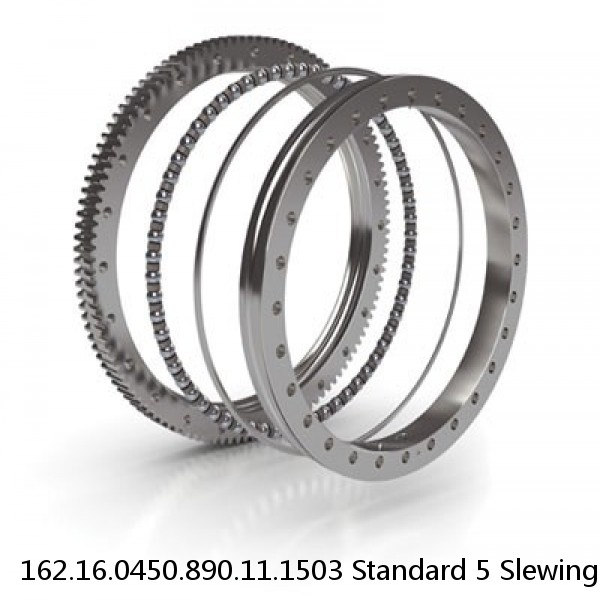 162.16.0450.890.11.1503 Standard 5 Slewing Ring Bearings