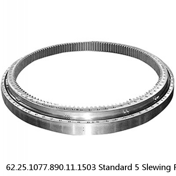 62.25.1077.890.11.1503 Standard 5 Slewing Ring Bearings