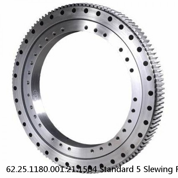 62.25.1180.001.21.1504 Standard 5 Slewing Ring Bearings