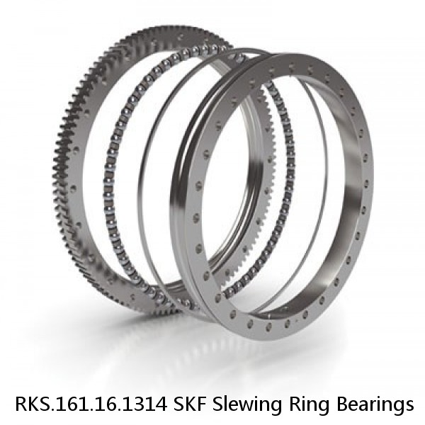 RKS.161.16.1314 SKF Slewing Ring Bearings