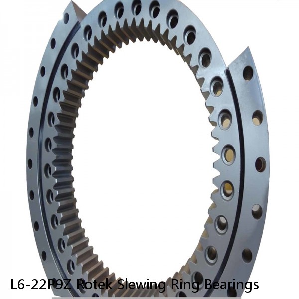 L6-22P9Z Rotek Slewing Ring Bearings