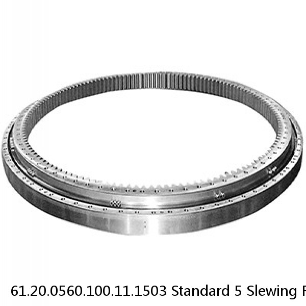 61.20.0560.100.11.1503 Standard 5 Slewing Ring Bearings