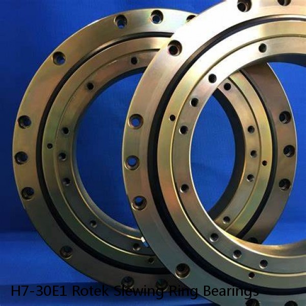 H7-30E1 Rotek Slewing Ring Bearings