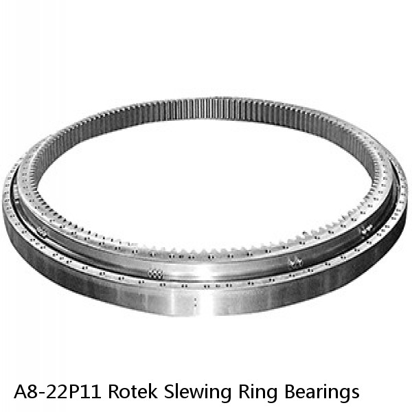 A8-22P11 Rotek Slewing Ring Bearings