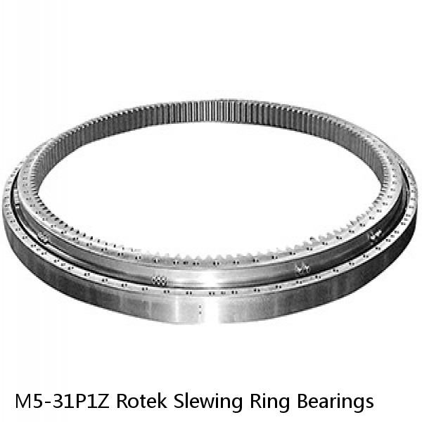 M5-31P1Z Rotek Slewing Ring Bearings