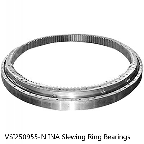 VSI250955-N INA Slewing Ring Bearings