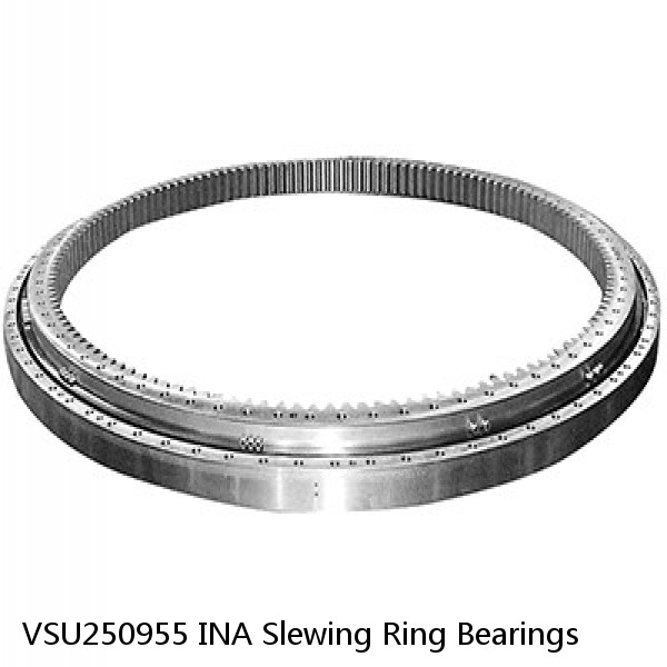 VSU250955 INA Slewing Ring Bearings