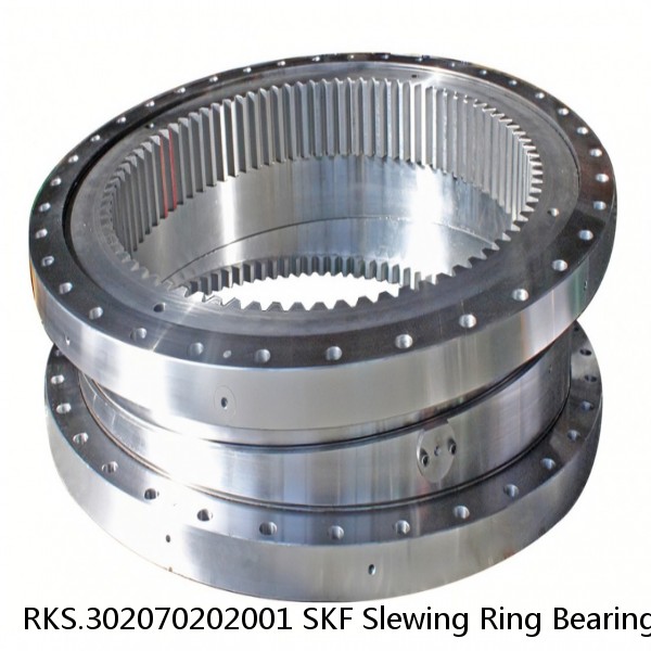 RKS.302070202001 SKF Slewing Ring Bearings