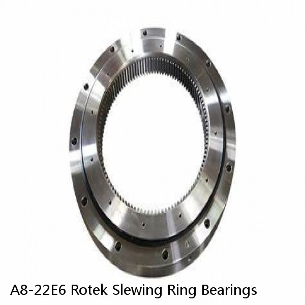 A8-22E6 Rotek Slewing Ring Bearings