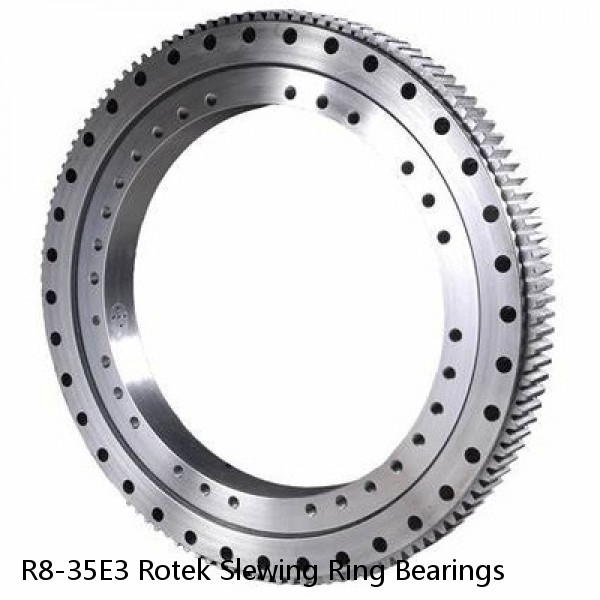 R8-35E3 Rotek Slewing Ring Bearings