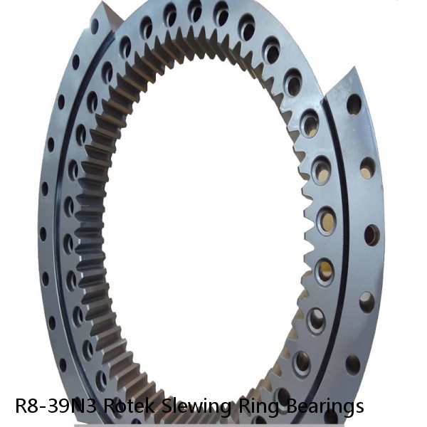 R8-39N3 Rotek Slewing Ring Bearings