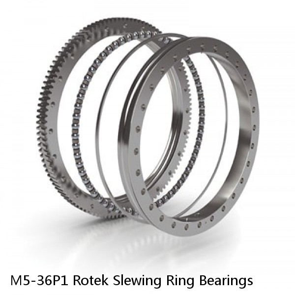 M5-36P1 Rotek Slewing Ring Bearings