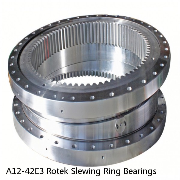 A12-42E3 Rotek Slewing Ring Bearings