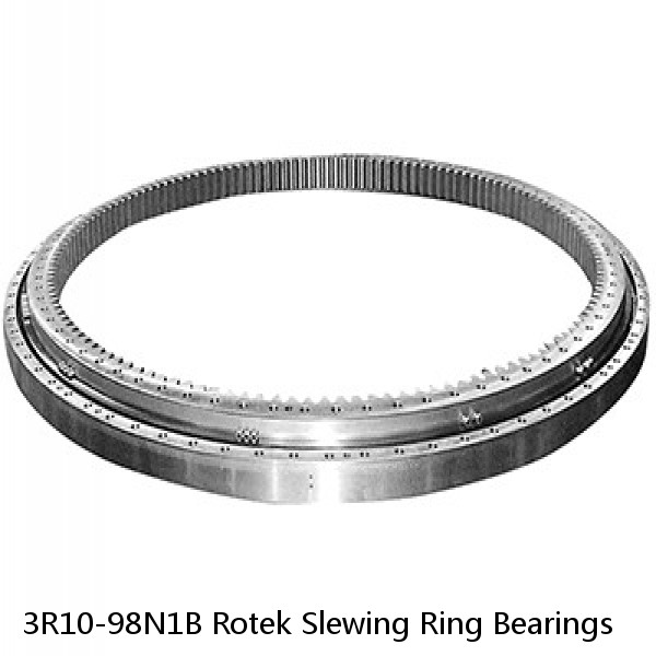 3R10-98N1B Rotek Slewing Ring Bearings