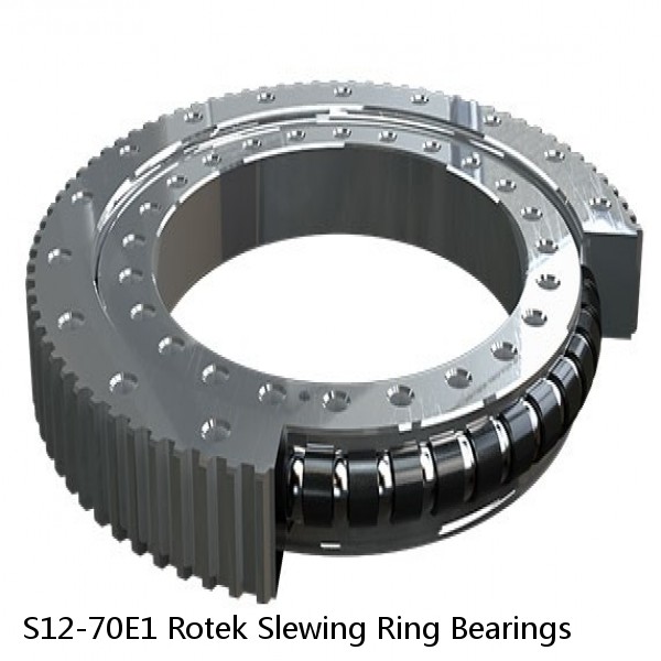 S12-70E1 Rotek Slewing Ring Bearings