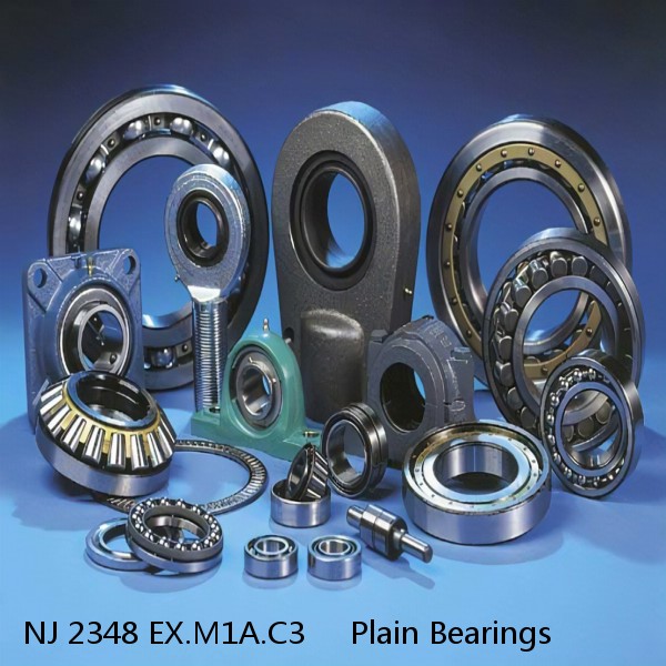 NJ 2348 EX.M1A.C3     Plain Bearings