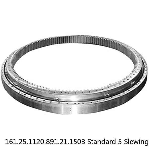 161.25.1120.891.21.1503 Standard 5 Slewing Ring Bearings