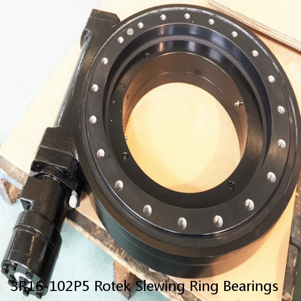 3R16-102P5 Rotek Slewing Ring Bearings