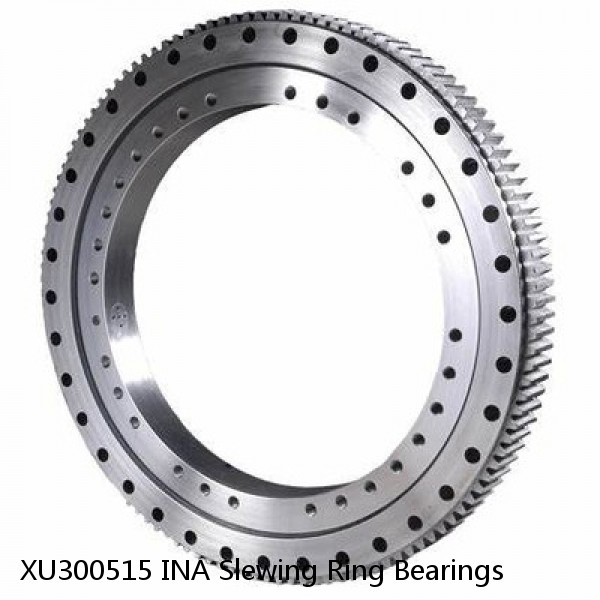 XU300515 INA Slewing Ring Bearings