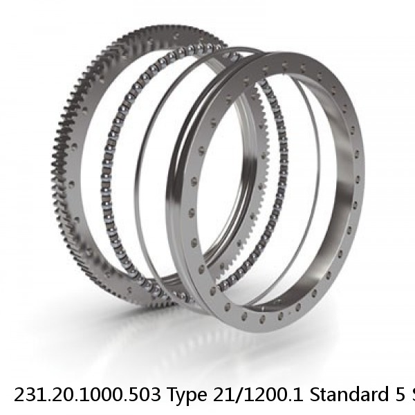 231.20.1000.503 Type 21/1200.1 Standard 5 Slewing Ring Bearings