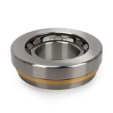 BUNTING BEARINGS BPT324024  Plain Bearings